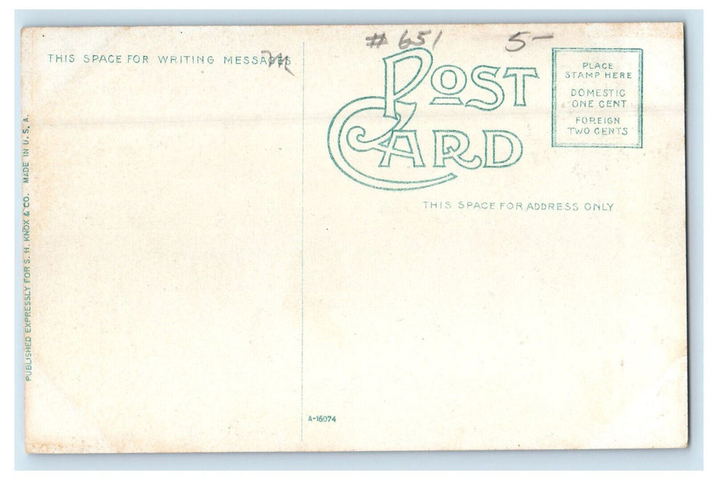 c1910 State Normal Library, Terre Haute Indiana IN Antique Postcard