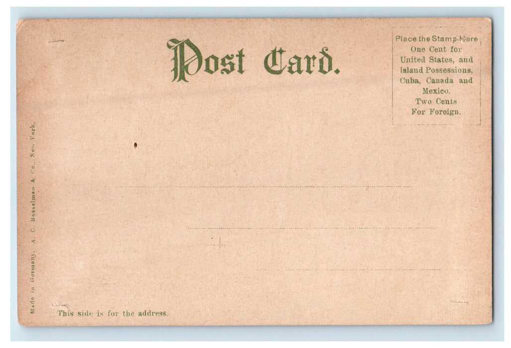 c1905 Public Library, Chicago Illinois IL AC Bosselman & Co. Unposted Postcard