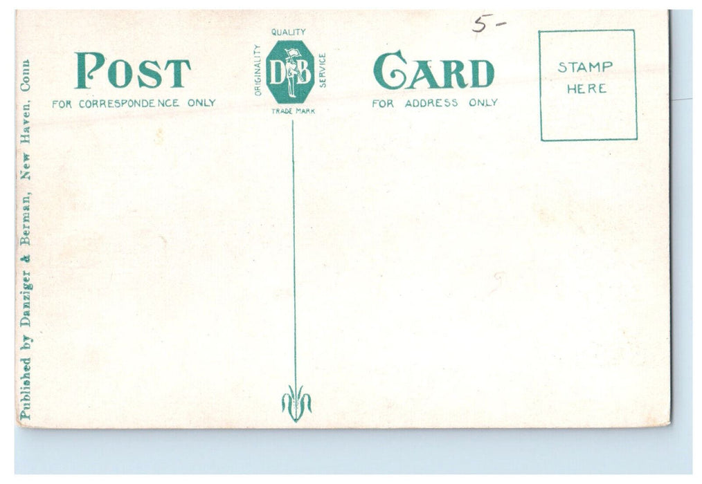 c1910 Public Library, New Britain Connecticut CT Danziger and Berman Postcard