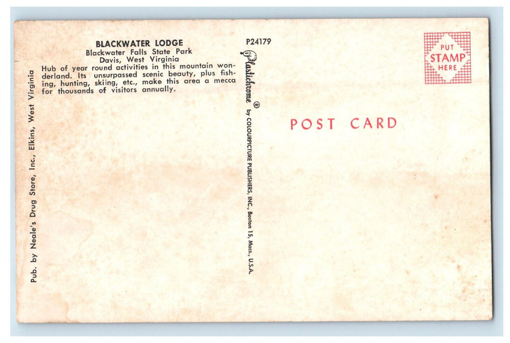 c1960s Blackwater Lodge Blackwater Falls State Park Davis, WV Unposted Postcard