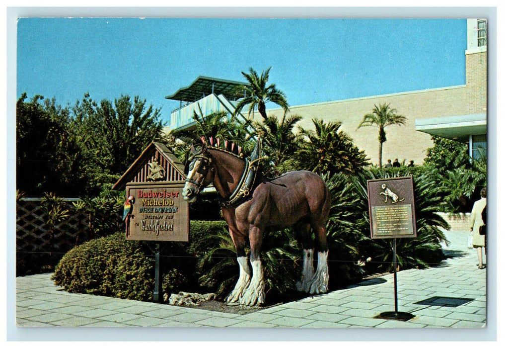c1960s Main Entrance to Busch Gardens Tampa Florida FL Unposted Postcard