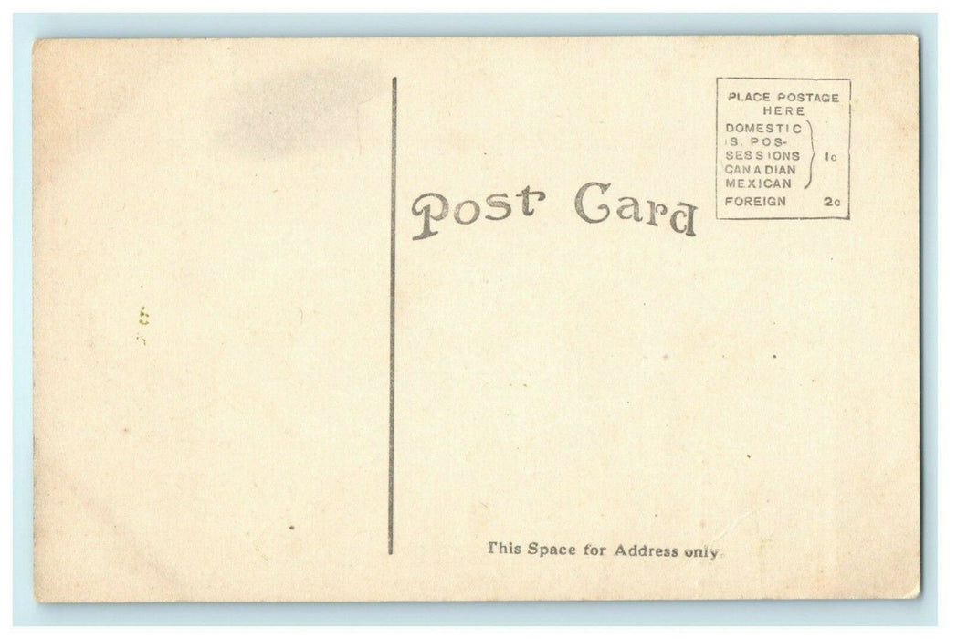 Presbyterian Church Paw Paw Illinois c1910 Vintage Antique Postcard