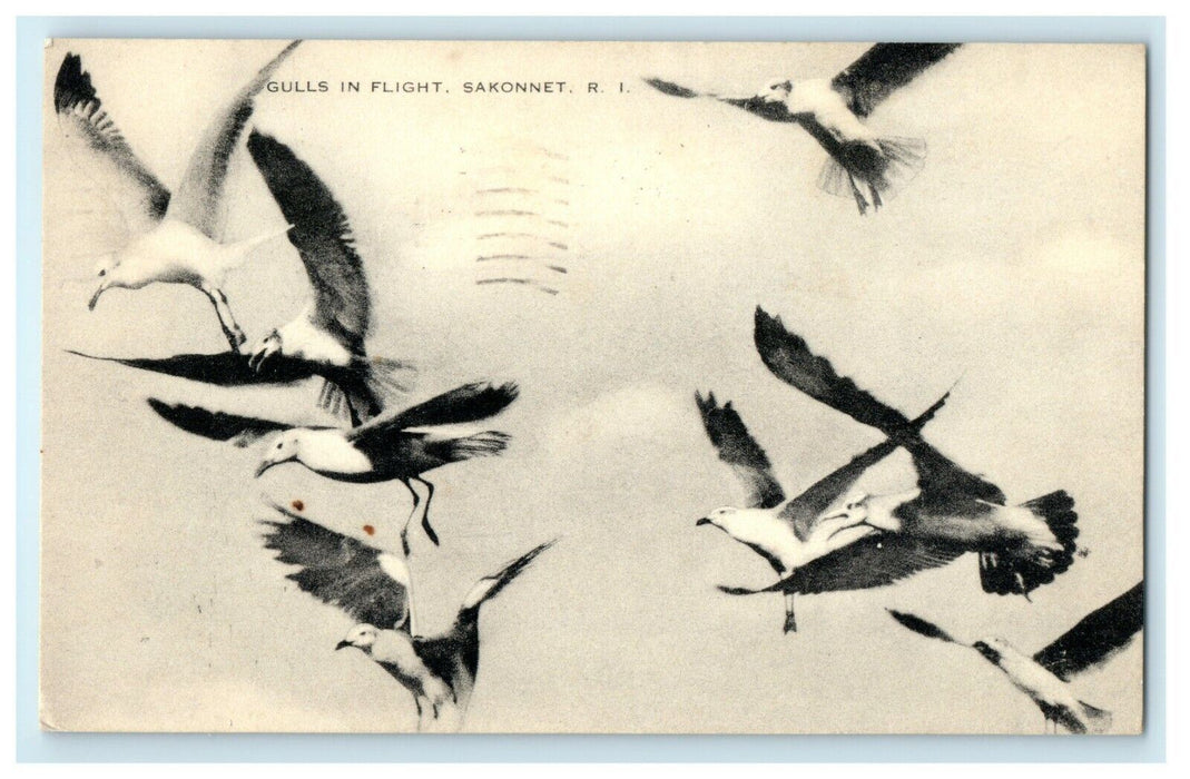 1961 Gulls in Flight, Sakonnet, Rhode Island, RI Vintage Posted Postcard