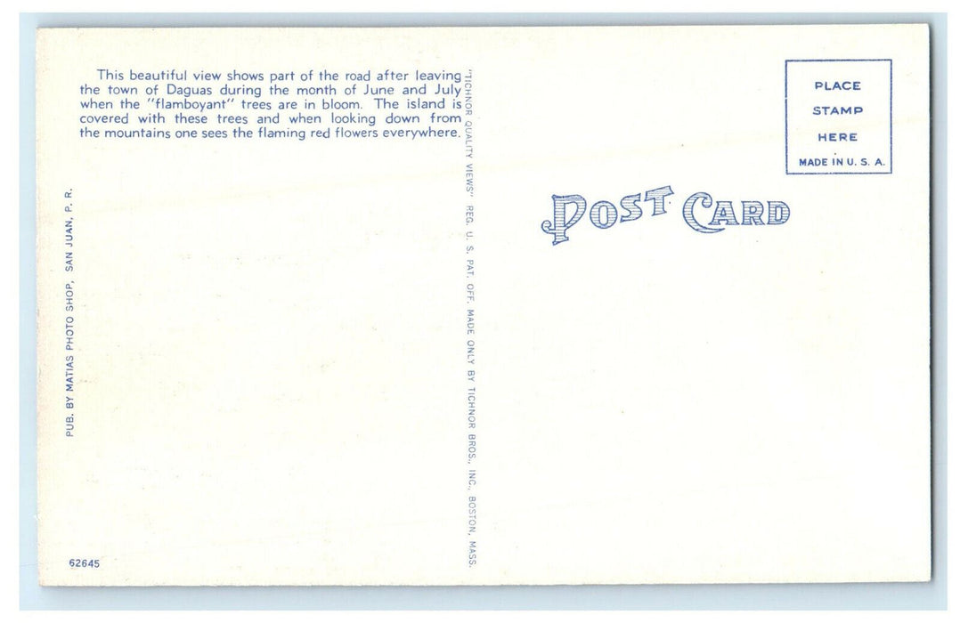 c1940s Beautiful Flamboyants Lining Military Road Puerto Rico Foreign Postcard