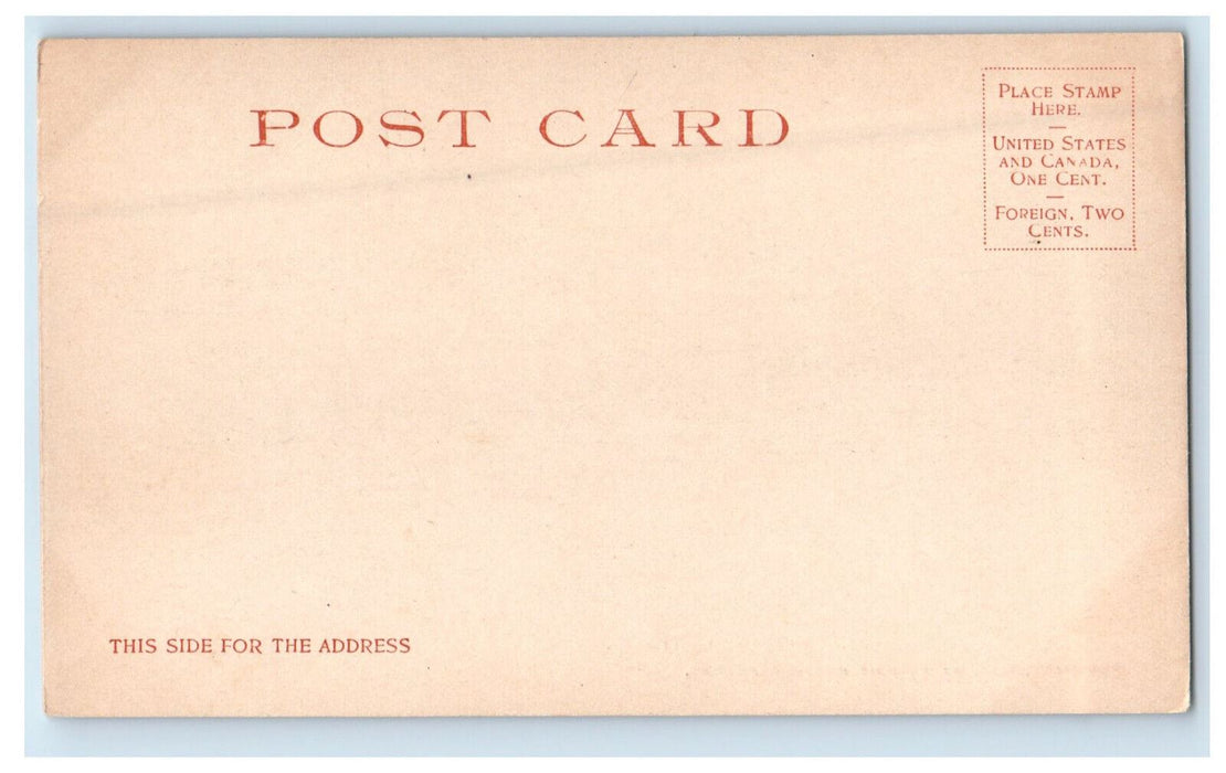 c1905 Public Library Chicago IL Detroit Photographic Co. Unposted Postcard