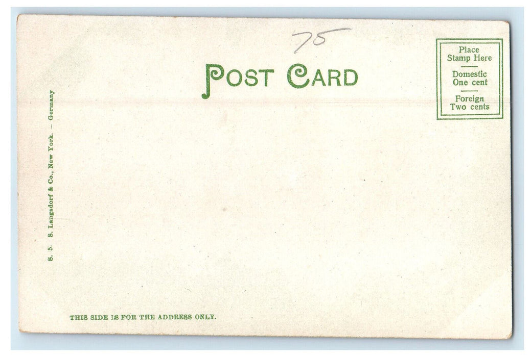 c1905 Public Library, New Britain Connecticut CT S. Langsdorf & Co. Postcard