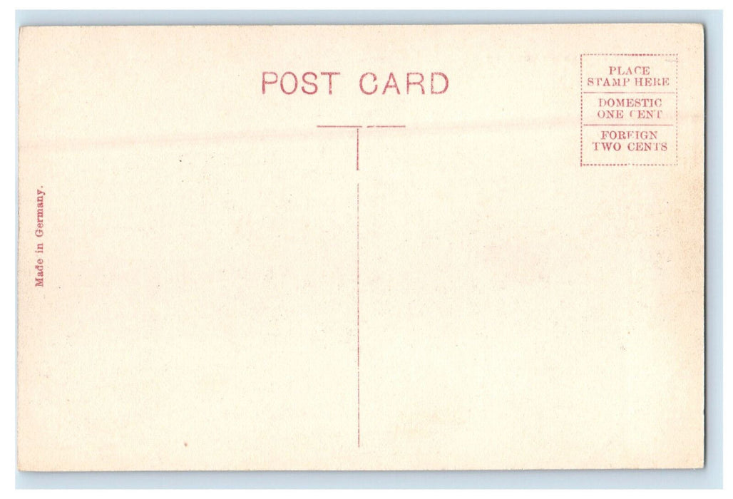 c1910 Public Library, Denver Colorado Co. Antique Unposted Postcard