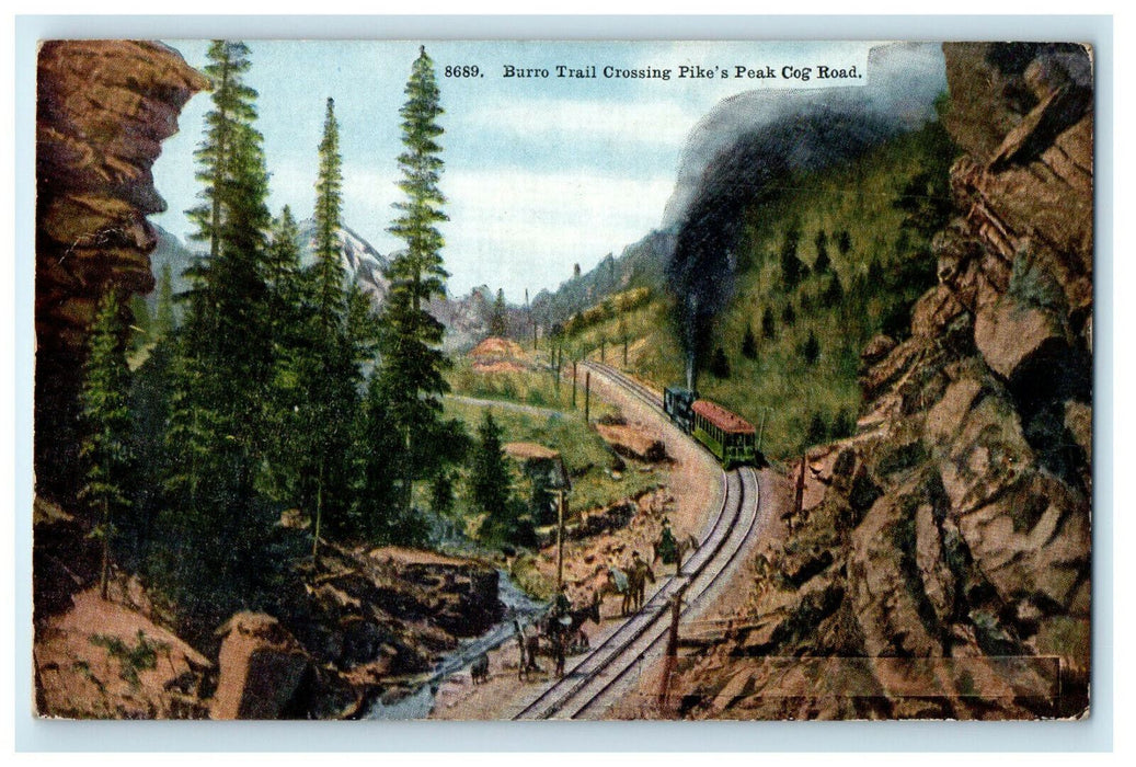 c1910s  Burro Trail Crossing Pikes Peak Cog Road Colorado CO Postcard