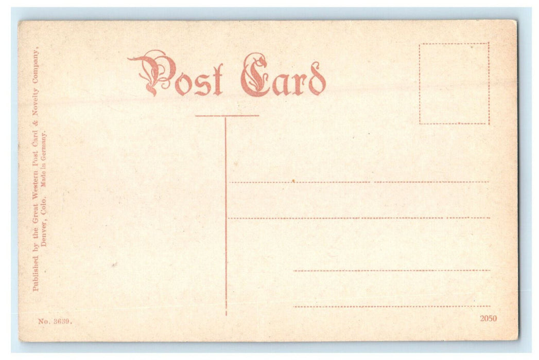 c1910 Cog Train Ruxbon Park Mt. Baldy Colorado CO M & P.P. Ry Postcard