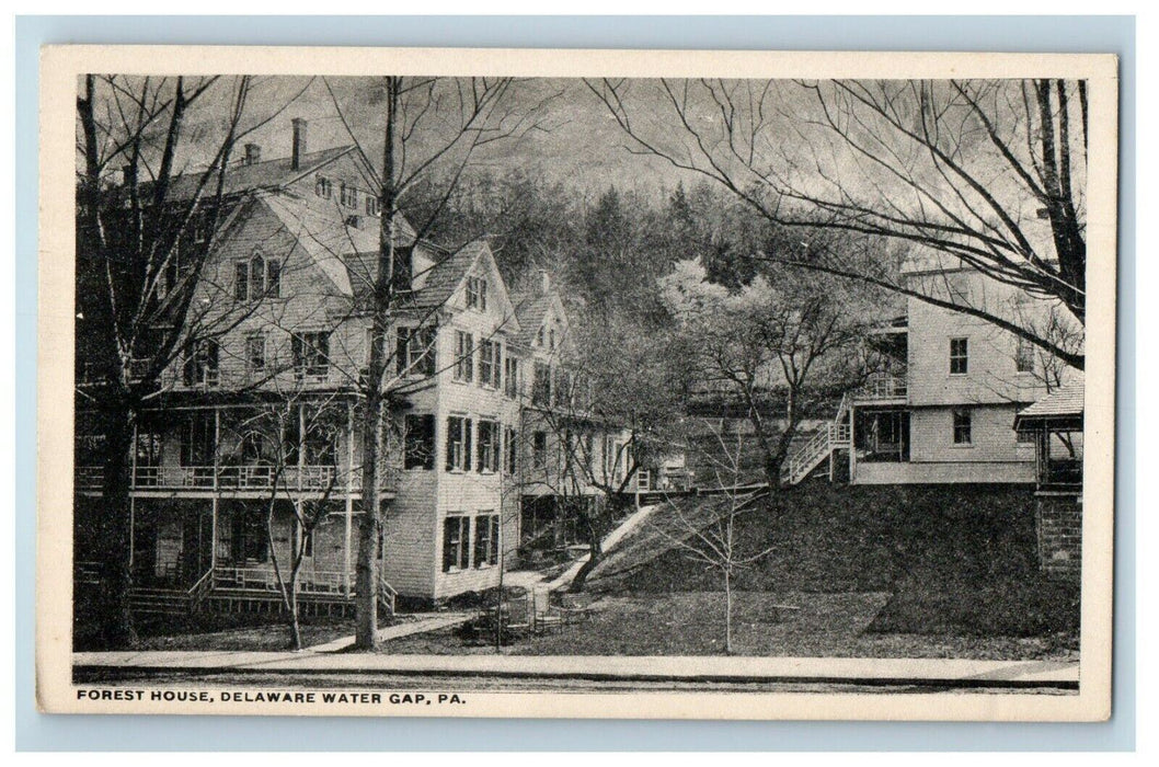 c1920's Forest House Delaware Gap Pennsylvania PA Unposted Vintage Postcard