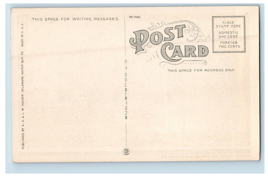 c1920's Forest House Delaware Gap Pennsylvania PA Unposted Vintage Postcard