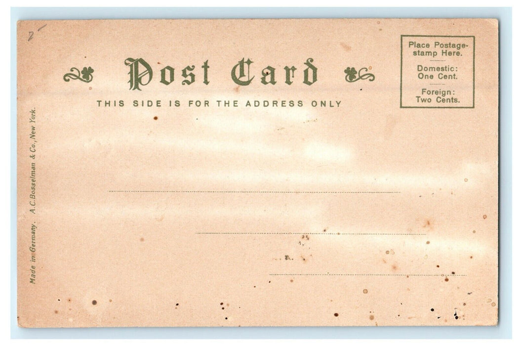 Mrs. Jack Gardner's Palace Boston Massachusetts MA Glitters Postcard