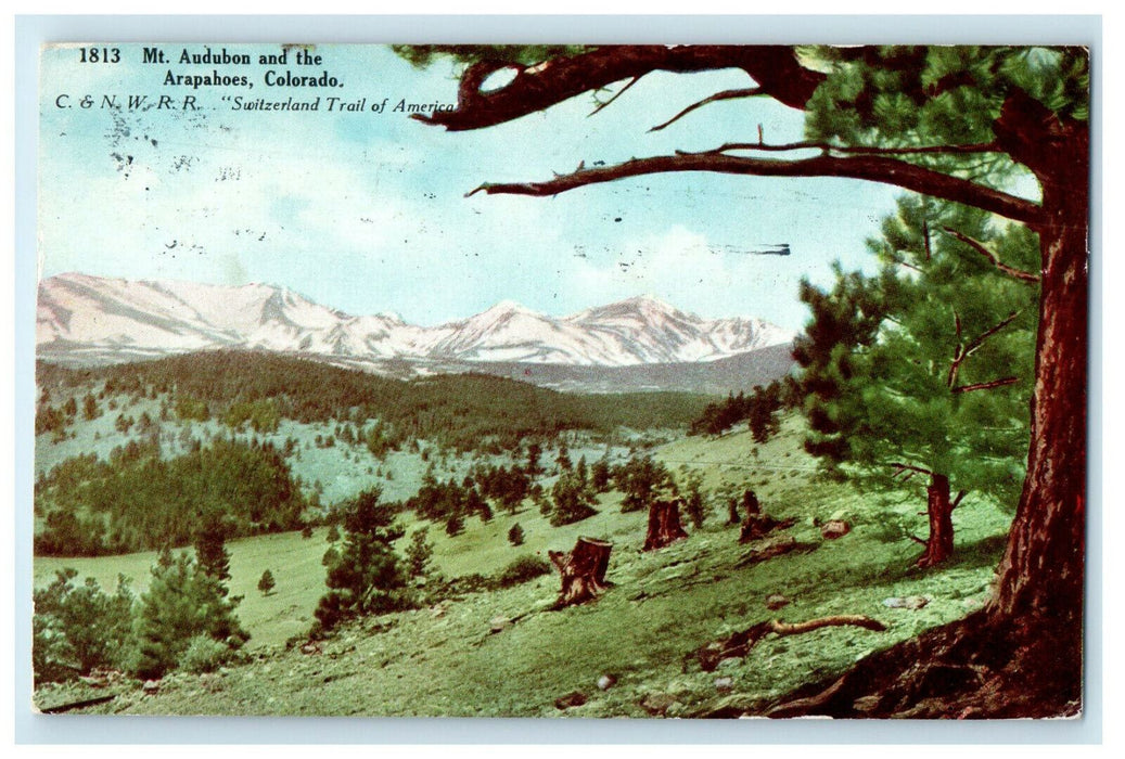 1909 Cutted Trees, Mt Audubon and the Arapahoes Colorado CO Posted Postcard