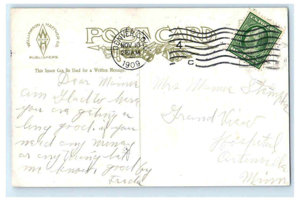 1909 Cutted Trees, Mt Audubon and the Arapahoes Colorado CO Posted Postcard