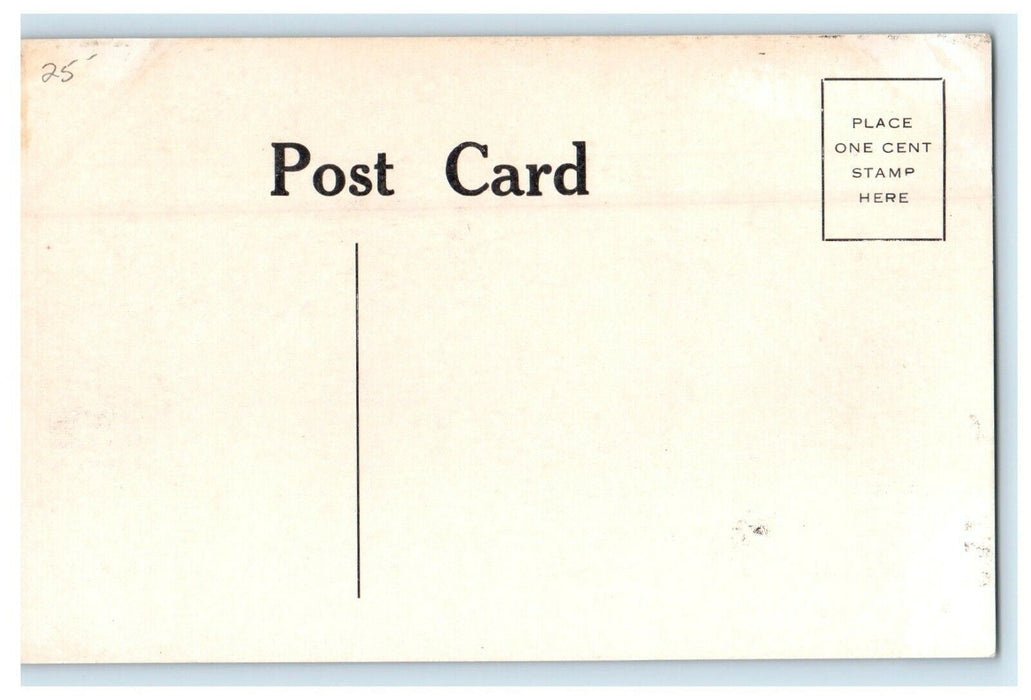 1916 Souvenir of Charity Bazaar Airship Dirigible Showing Paterson, NJ Postcard