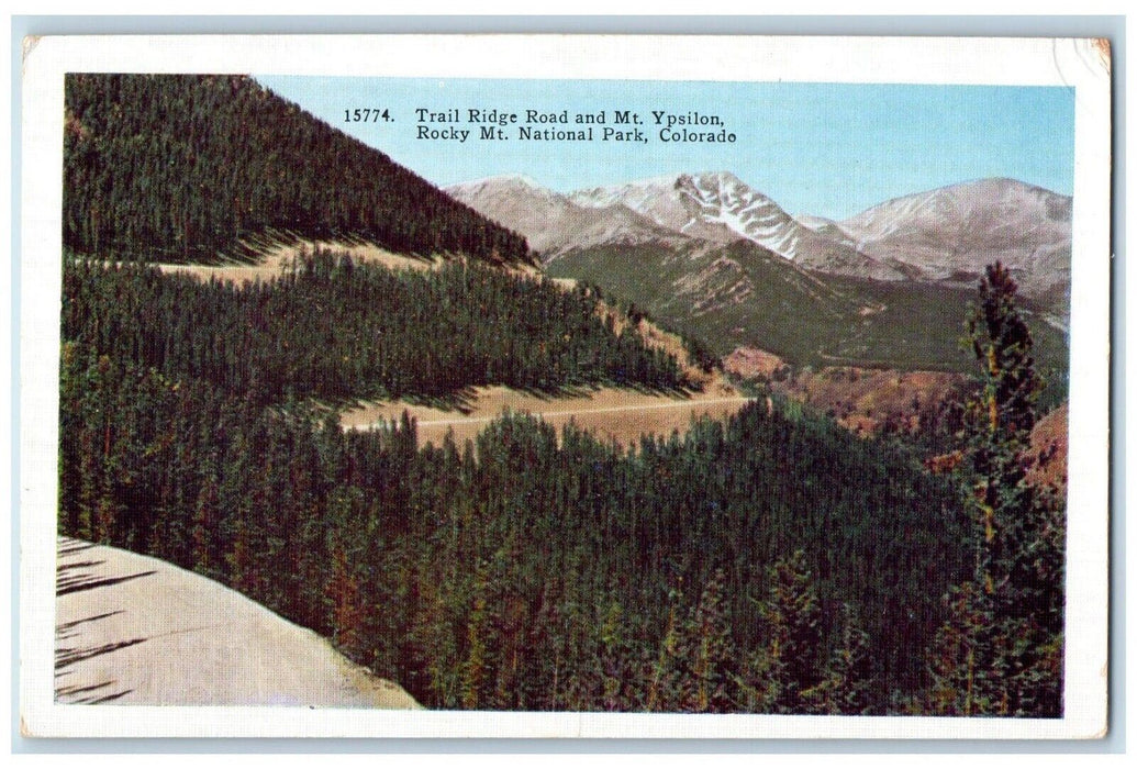 c1920's Trail Ridge Road And Mt. Ypsilon Rocky Mt. National Park CO Postcard
