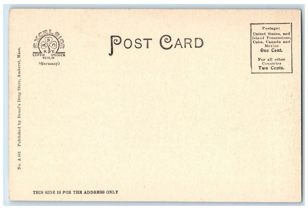 c1910's Railway, Turkey Pass "Notch" Amherst Massachusetts MA Antique Postcard