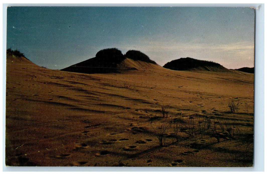 1966 Sand Dunes on Outer Cape Cod, Massachusetts MA Vintage Postcard