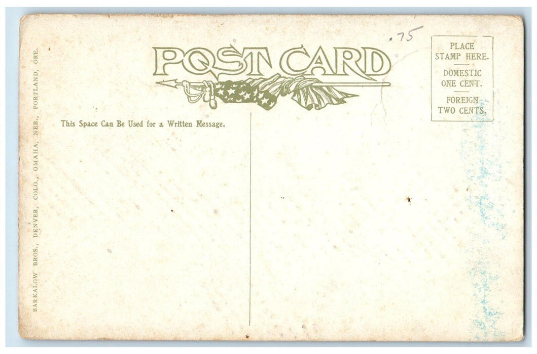 c1910's Glacier Lake Sunset And The Snowy Range Colorado CO Antique Postcard