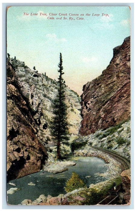 The Lone Tree Clear Creek Canon On Loop Trip Colorado And So. Ry CO Postcard