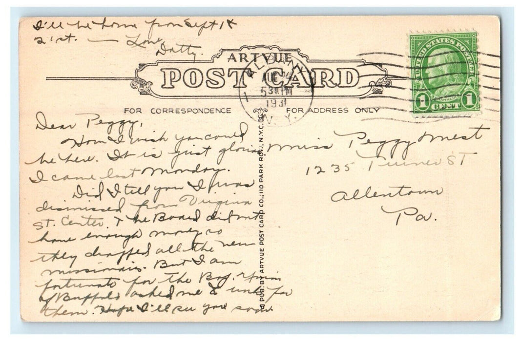 1931 Indian Ladder Cliff in the Distance, Helderberg Mts. New York NY Postcard