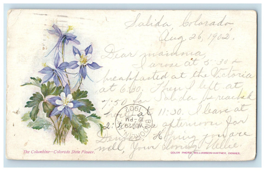 1902 The Columbine Colorado State Flower PMC Maspeth NY Posted Postcard