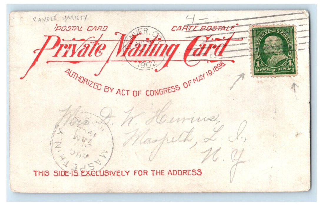 1902 The Columbine Colorado State Flower PMC Maspeth NY Posted Postcard