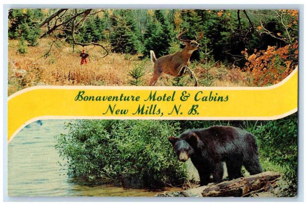 Bonaventure Motel & Cabins New Mills NB, Split View Deer Black Bear Postcard
