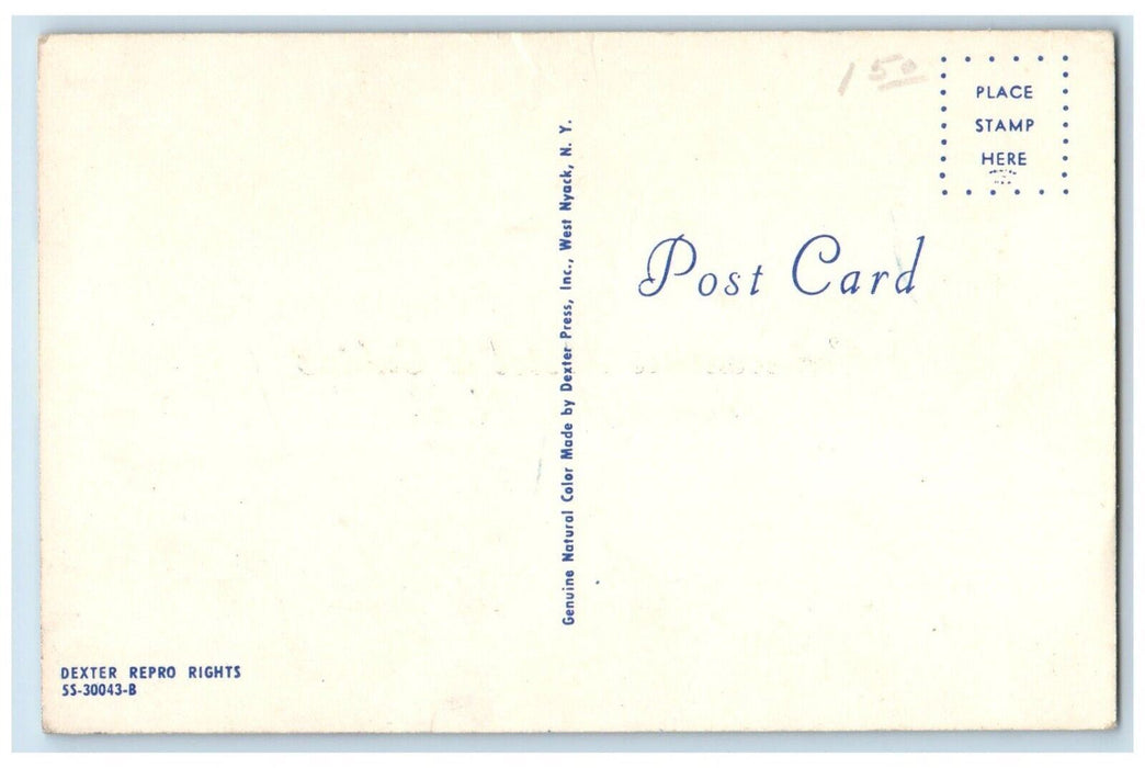 Bonaventure Motel & Cabins New Mills NB, Split View Deer Black Bear Postcard