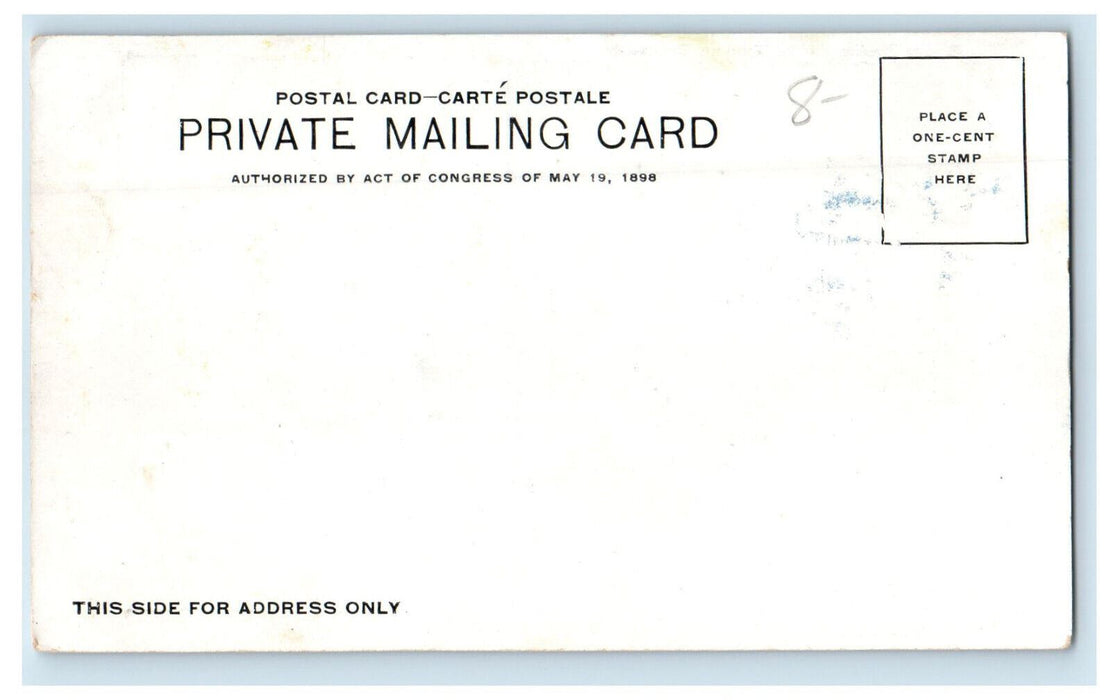 c1900s Brown Palace Hotel, Denver, Colorado CO PMC Unposted Postcard
