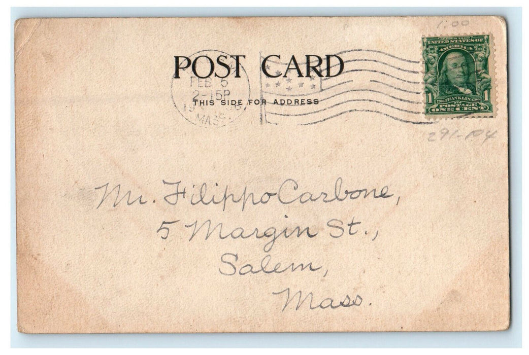 1906 Tree Park, Salem Willows, Salem Massachusetts MA Posted Postcard