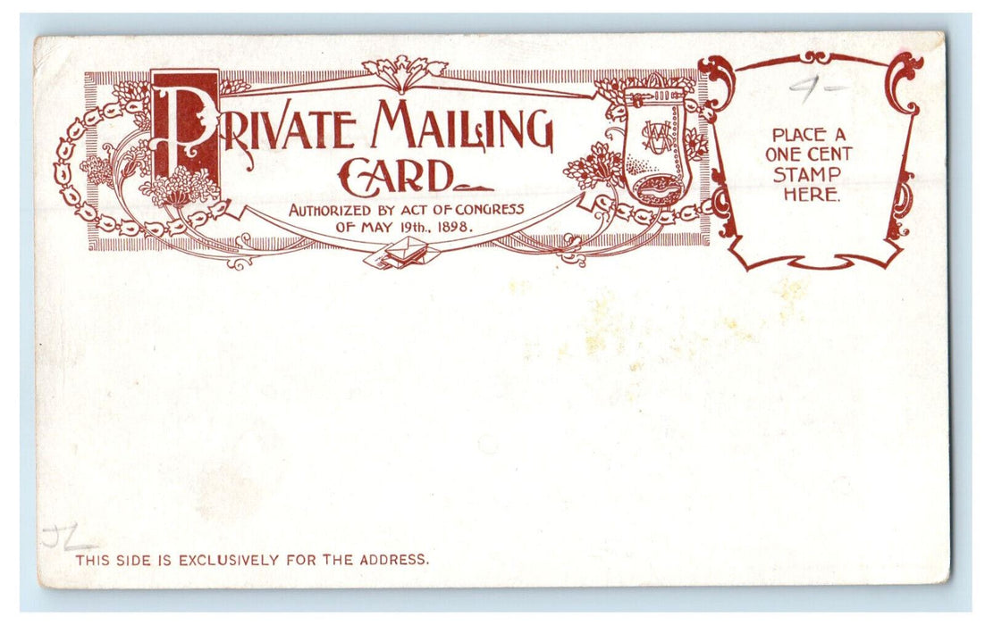 c1900s The Ozark Mountains, Hot Springs Arkansas AR PMC Unposted Postcard