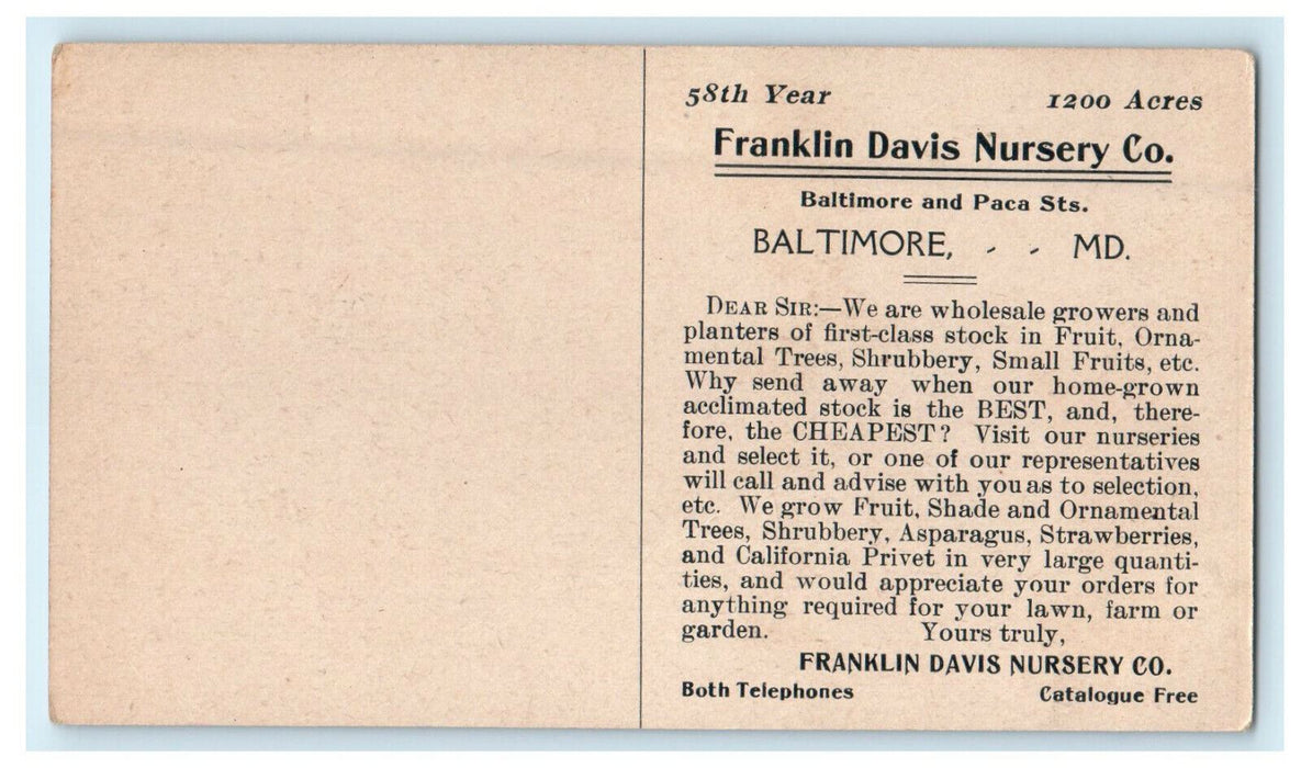 c1910s Rose Flower, Franklin Davis Nursery Co. Baltimore MD Advertising Postcard