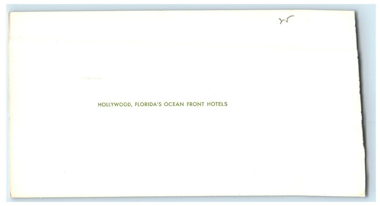 c1905 Aerial View Of Hollywood Florida's Ocean Front Hotels Antique Postcard