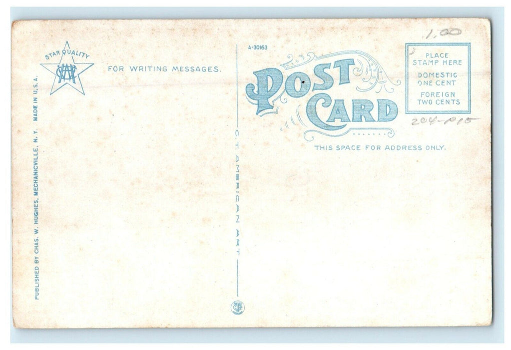 1911 Fanny Allen Hospital, Burlington, Vermont VT Antique Postcard