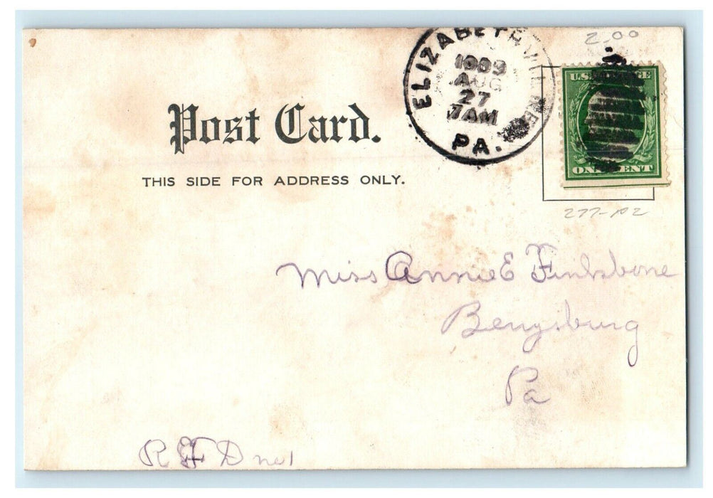 1909 Lagoon and Merry-Go-Round, Luna Park, Scranton, Pennsylvania PA Postcard