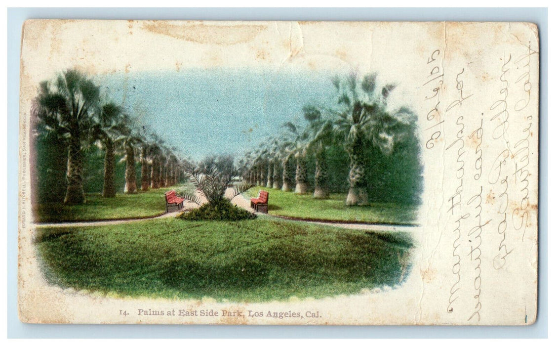 1903 Palms at East Side Park, Los Angeles CA Saucatuck CA PMC Postcard