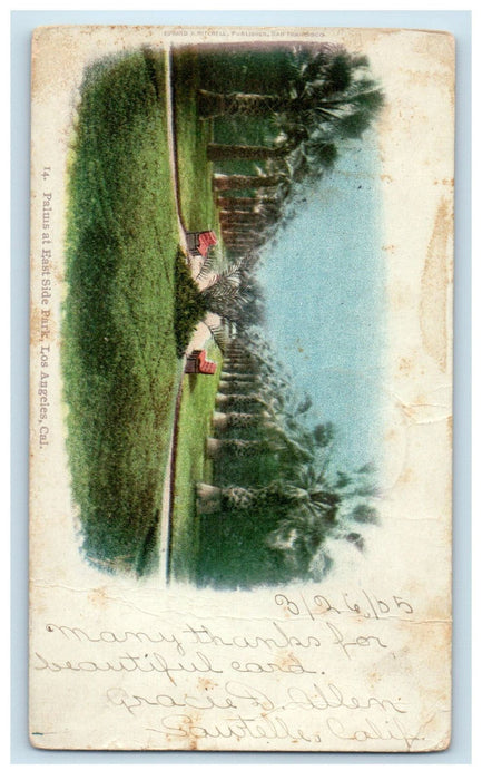 1903 Palms at East Side Park, Los Angeles CA Saucatuck CA PMC Postcard