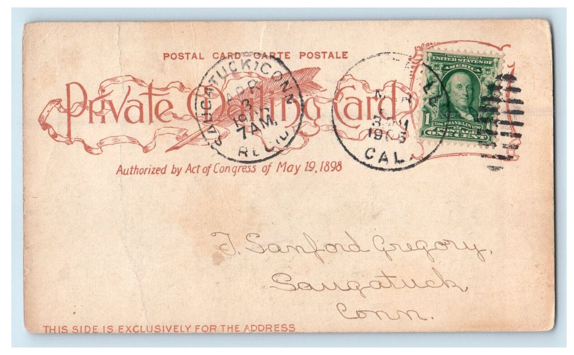 1903 Palms at East Side Park, Los Angeles CA Saucatuck CA PMC Postcard