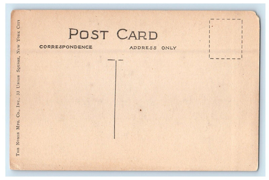 c1910's Bryn Mawr Pennsylvania PA, Library And Bryn Mawr College Campus Postcard