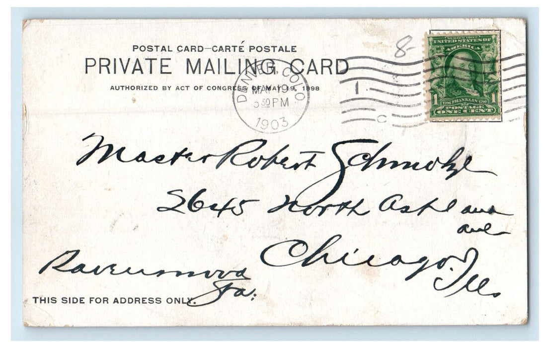 1903 Buck with Bridle, Rocky Mount Canary Posted Antique PMC Postcard