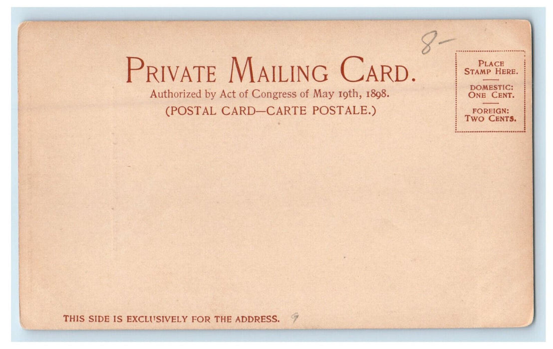 1901 Seven Falls, Cheyenne Canon, Colorado CO PMC Unposted Postcard