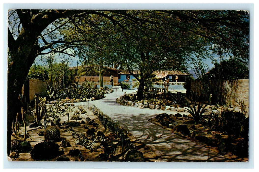 1965 Ghost Ranch Lodge, Cactus Garden, Tucson Arizona AZ Postcard