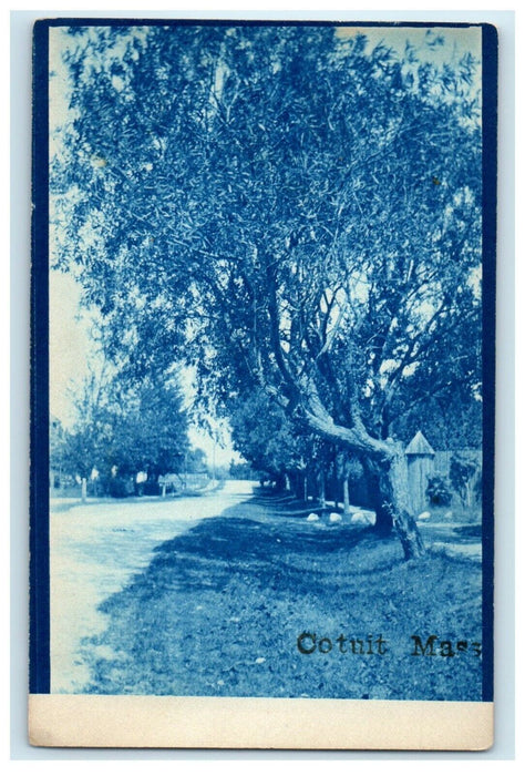 c1910's The Pines Road Cyanotype Cotuit Massachusetts MA RPPC Photo Postcard