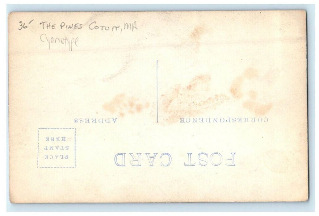 c1910's The Pines Road Cyanotype Cotuit Massachusetts MA RPPC Photo Postcard