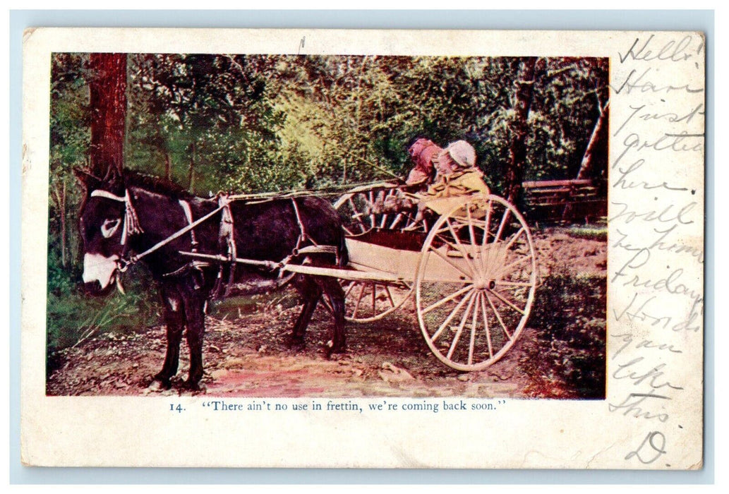 1906 Horse Cart Embossed Washington D.C. Postcard