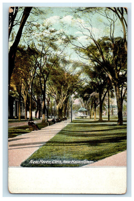 1909 New Haven Green, New Haven Connecticut CT Posted Antique Postcard