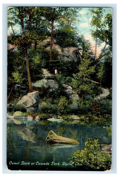 A View Of Camel Black At Cascade Park Elyria Ohio OH Unposted Postcard