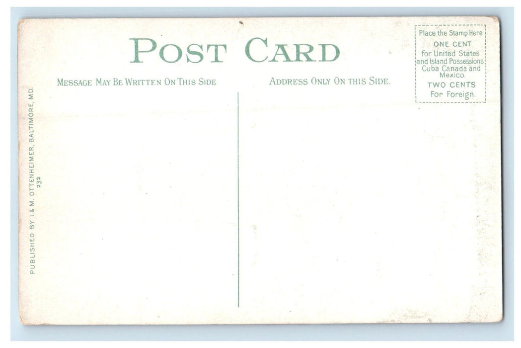A View Of State House Annapolis Maryland MD Unposted Antique Postcard
