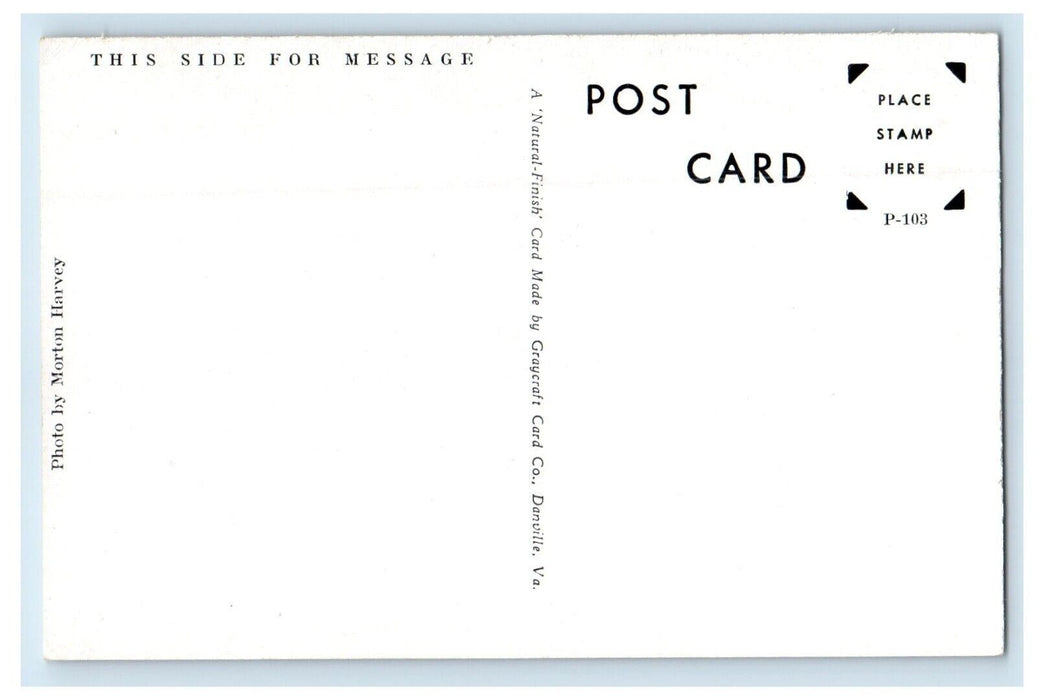 Ponca City Library Building Street View Ponca City Oklahoma Ok Vintage Postcard